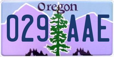 OR license plate 029AAE