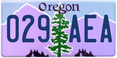 OR license plate 029AEA