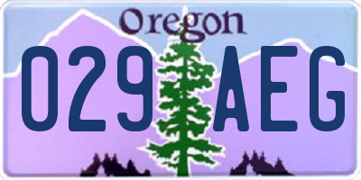 OR license plate 029AEG
