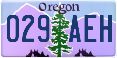 OR license plate 029AEH
