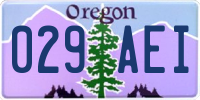 OR license plate 029AEI