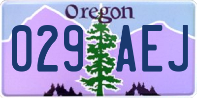 OR license plate 029AEJ