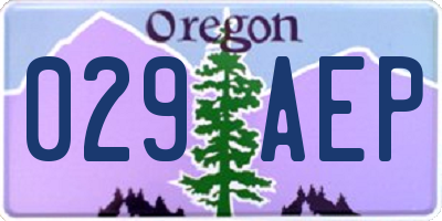 OR license plate 029AEP