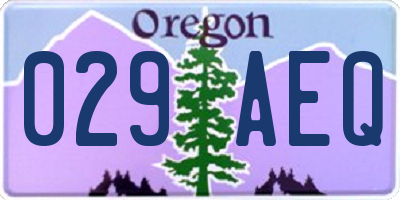 OR license plate 029AEQ