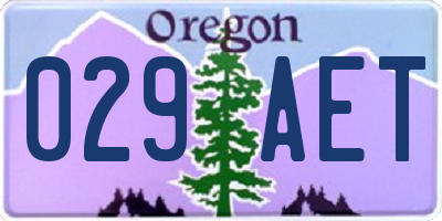 OR license plate 029AET