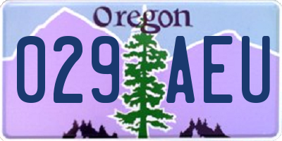 OR license plate 029AEU