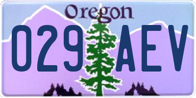 OR license plate 029AEV