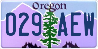 OR license plate 029AEW