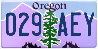 OR license plate 029AEY