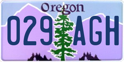 OR license plate 029AGH