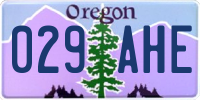OR license plate 029AHE