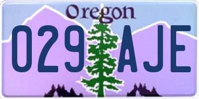 OR license plate 029AJE