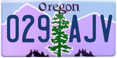 OR license plate 029AJV