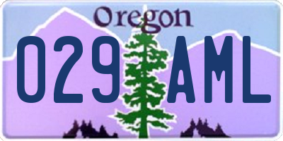 OR license plate 029AML