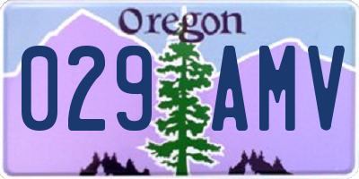 OR license plate 029AMV
