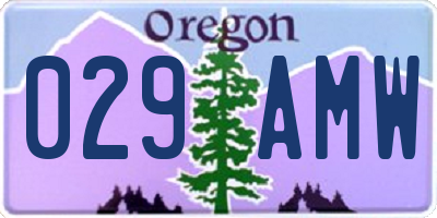 OR license plate 029AMW