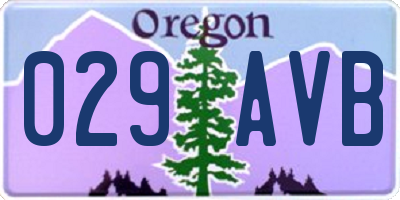 OR license plate 029AVB