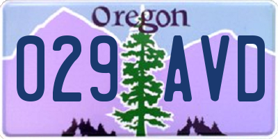 OR license plate 029AVD