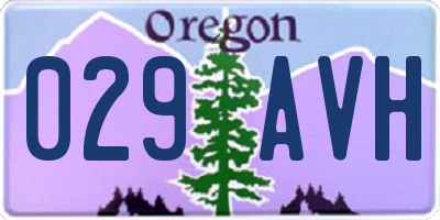OR license plate 029AVH