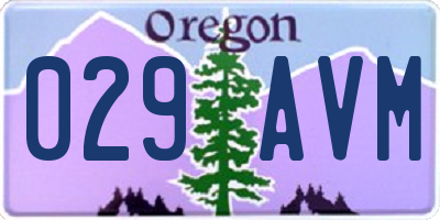 OR license plate 029AVM