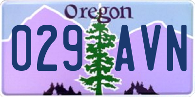 OR license plate 029AVN