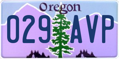 OR license plate 029AVP