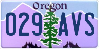 OR license plate 029AVS