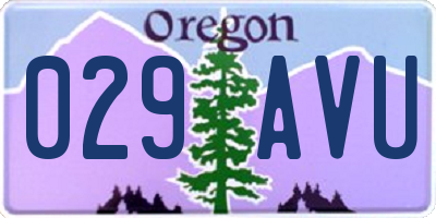 OR license plate 029AVU