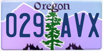 OR license plate 029AVX