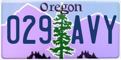 OR license plate 029AVY