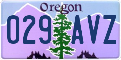 OR license plate 029AVZ