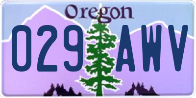 OR license plate 029AWV