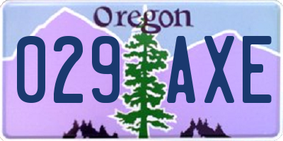 OR license plate 029AXE