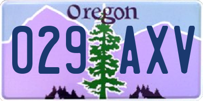 OR license plate 029AXV