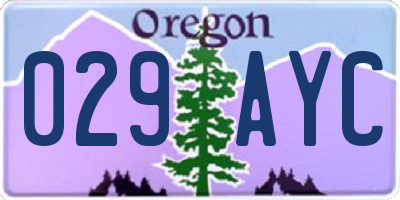 OR license plate 029AYC