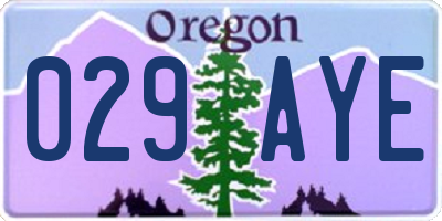 OR license plate 029AYE