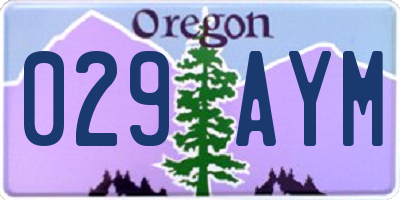 OR license plate 029AYM