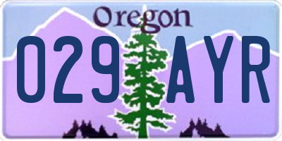 OR license plate 029AYR