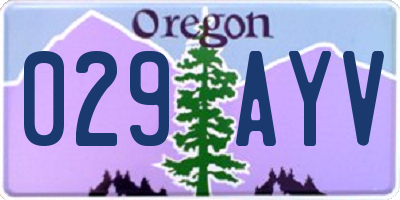OR license plate 029AYV