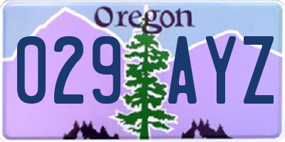 OR license plate 029AYZ