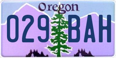 OR license plate 029BAH