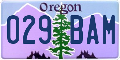 OR license plate 029BAM
