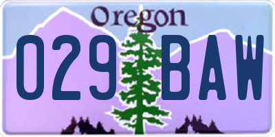 OR license plate 029BAW