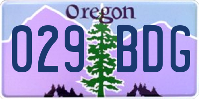 OR license plate 029BDG