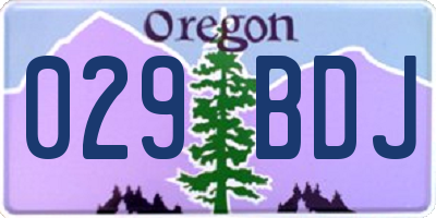 OR license plate 029BDJ