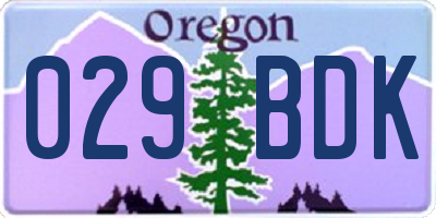 OR license plate 029BDK