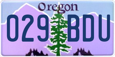 OR license plate 029BDU