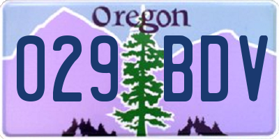 OR license plate 029BDV