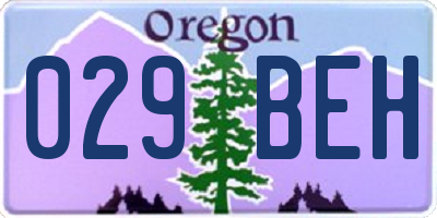 OR license plate 029BEH