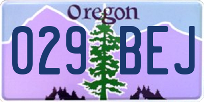OR license plate 029BEJ